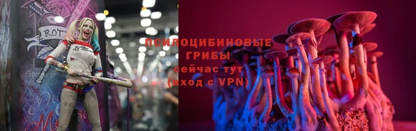 сатива Алексеевка