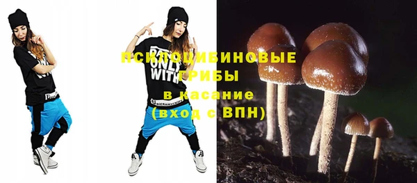 сатива Алексеевка